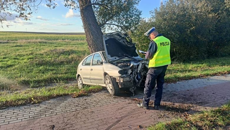 Powiat sztumski. Osobówka uderzyła w drzewo w Koślince – kierowca w szpitalu.