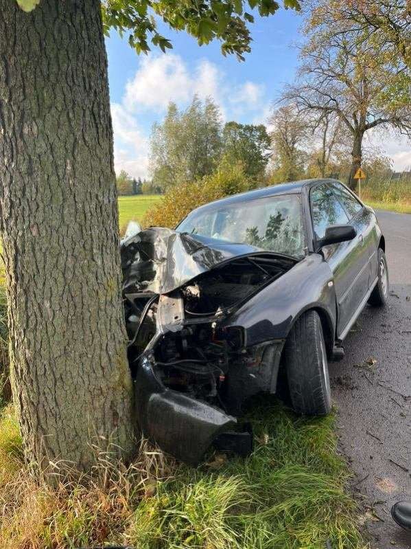 Gmina Stare Pole. Kobieta zasłabła za kierownicą i uderzyła w drzewo.