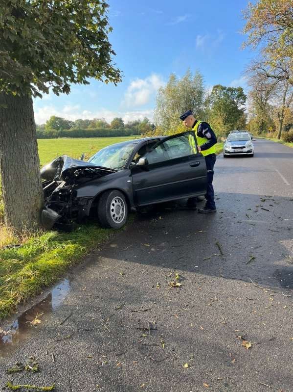 Gmina Stare Pole. Kobieta zasłabła za kierownicą i uderzyła w drzewo.