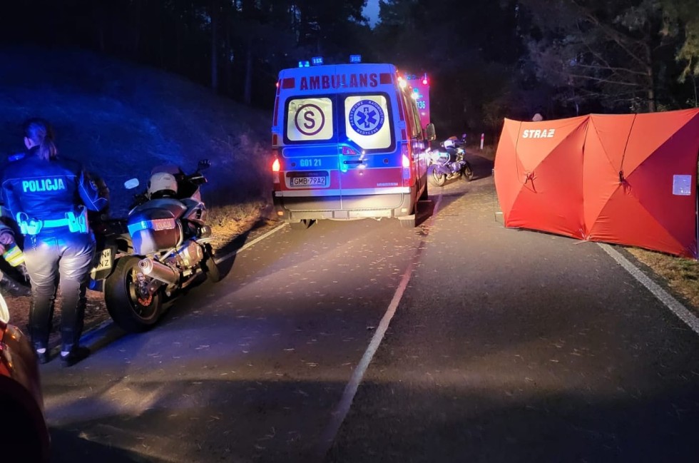 DW501. Śmiertelny wypadek motocyklisty w Krynicy Morskiej.