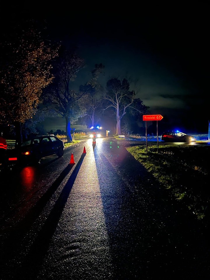 Zderzenie motoroweru z osobówką w Brzózkach i izolowane zdarzenia ratownictwa medycznego   – tygodniowy raport malborskich służb mundurowych.