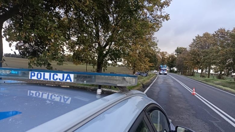 Powiat sztumski. Stracił panowanie nad pojazdem i uderzył w drzewo.
