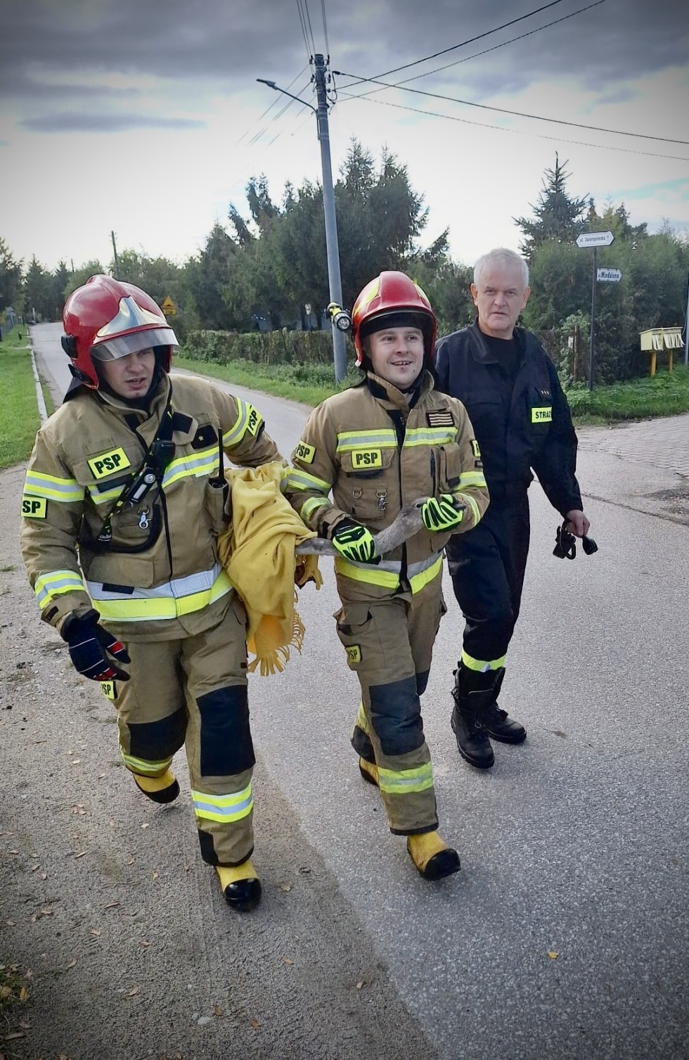 Malbork. Niecodzienna interwencja służb ratunkowych – pomogli łabędziowi.