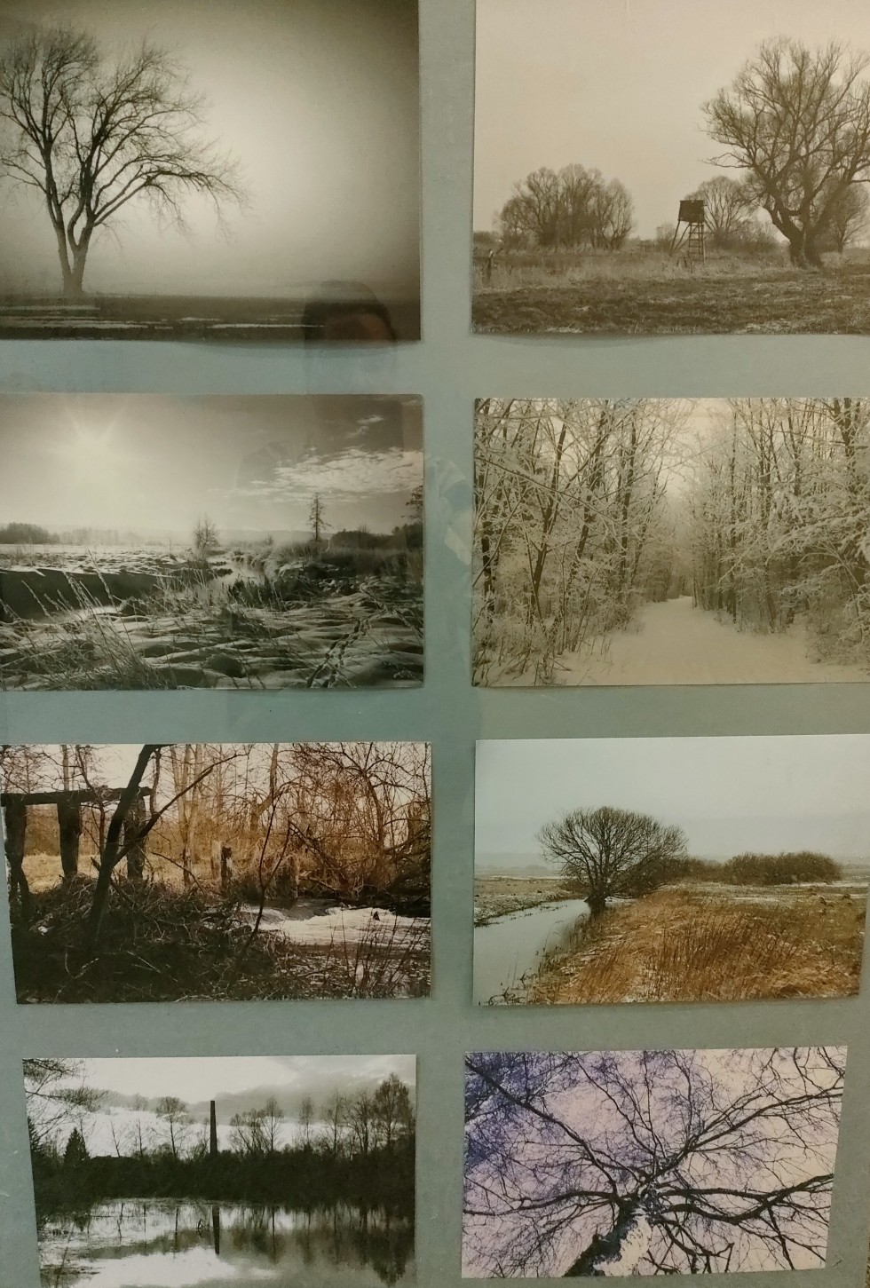 Malbork. Kolory fotografii - wernisaż wystawy Janusza Dębskiego.