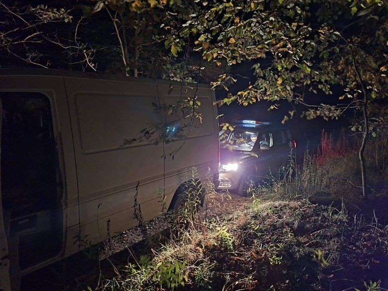 Powiat sztumski. Kradli drewno z lasu – grozi im kara więzienia.