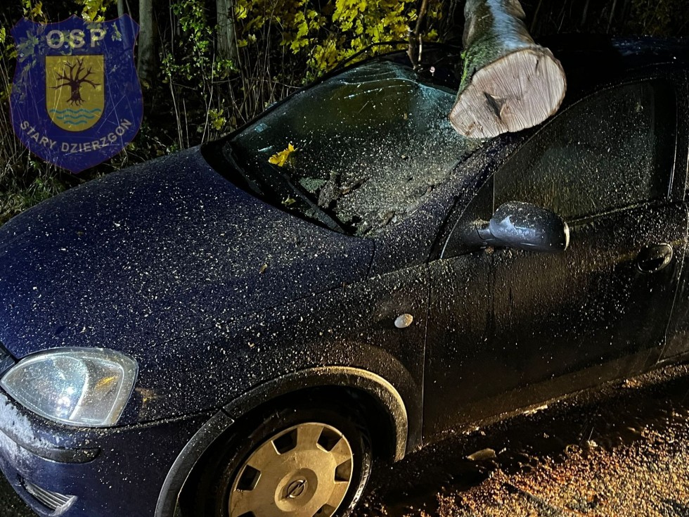 Powiat sztumski. Drzewo przewróciło się na jadący samochód.