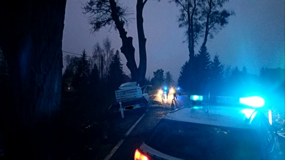 Powiat sztumski. Samochód dostawczy uderzył w drzewo – kierowca w szpitalu.