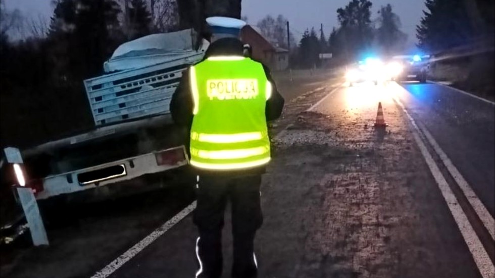 Powiat sztumski. Samochód dostawczy uderzył w drzewo – kierowca w szpitalu.