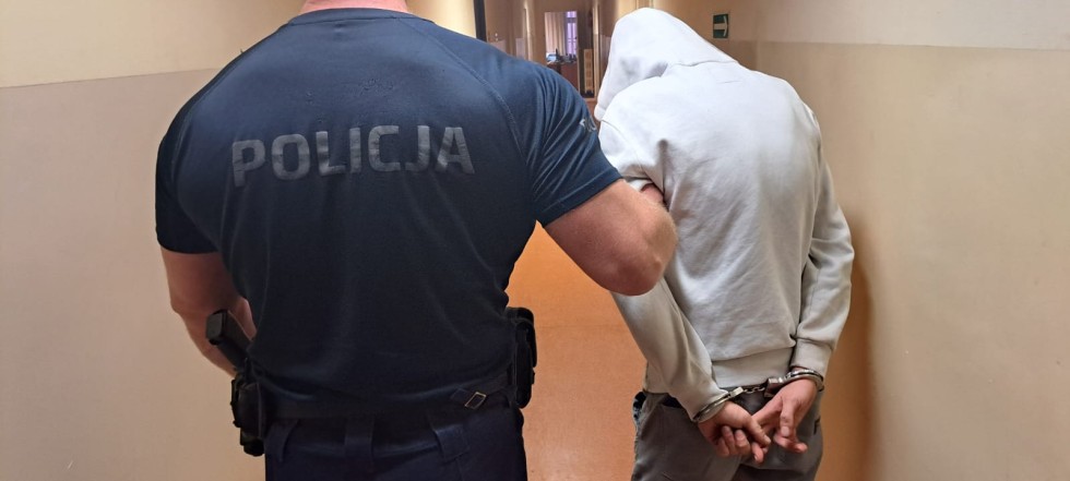 Powiat nowodworski. Osobówka uderzyła w drzewo w Wiśniówce – pasażerka w szpitalu, kierowca w areszcie.