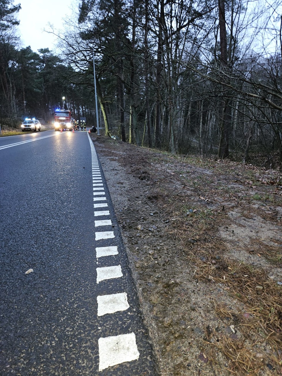 Sztutowo. Osobówka uderzyła w drzewo – dwie osoby w szpitalu.