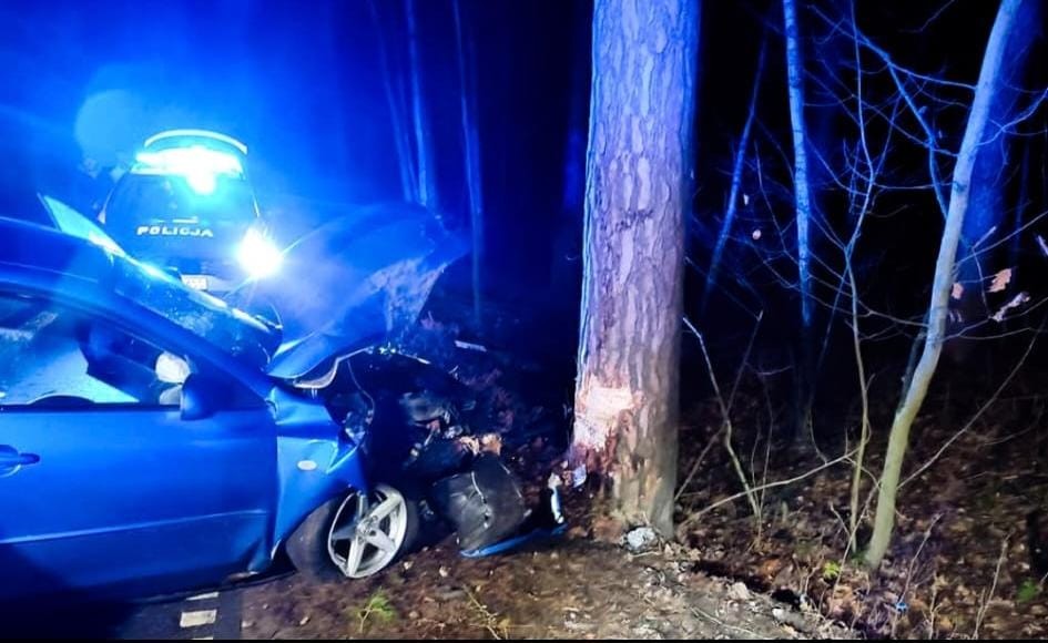 Pijany kierowca uderzył samochodem w drzewo - podsumowanie weekendu na drogach powiatu nowodworskiego.