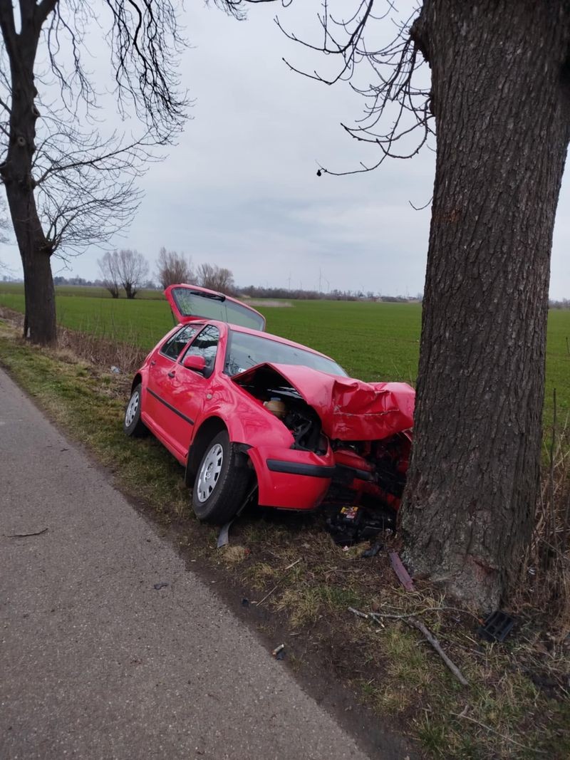 Gmina Nowy Staw. Osobówka uderzyła w drzewo – jedna osoba w szpitalu.
