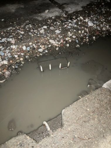 PILNY KOMUNIKAT! Uwaga mieszkańcy Gminy Malbork! Zachowaj szczególną ostrożność na ul. Kasztanowej!