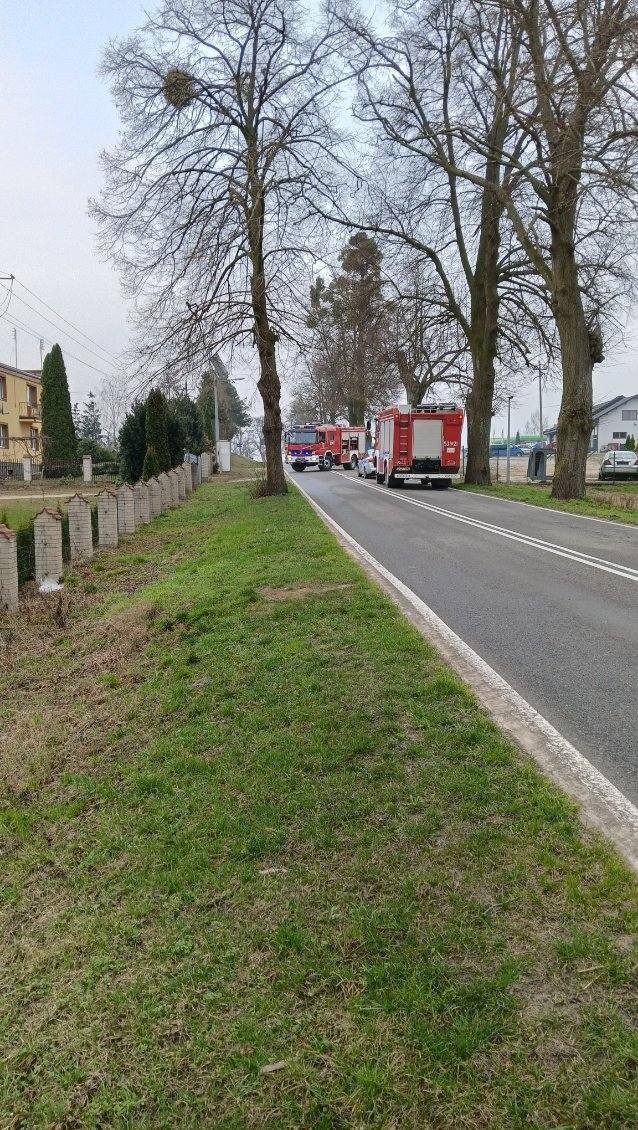 Nowiec. Osobówka uderzyła w drzewo – kierowca w szpitalu.