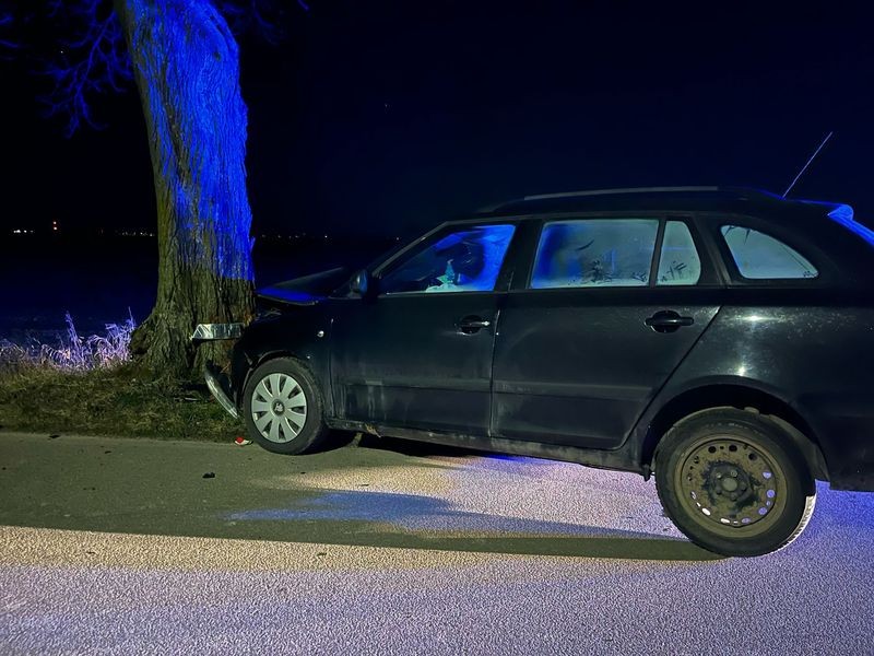 Gmina Stare Pole. Osobówką w drzewo – kierująca miała prawie 3 promile alkoholu w organizmie.
