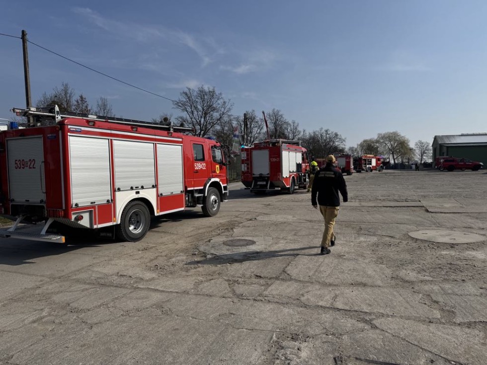 Gmina Stary Dzierzgoń. Pożar i poszkodowane osoby - ćwiczenia strażackie na terenie zakładu rolnego.