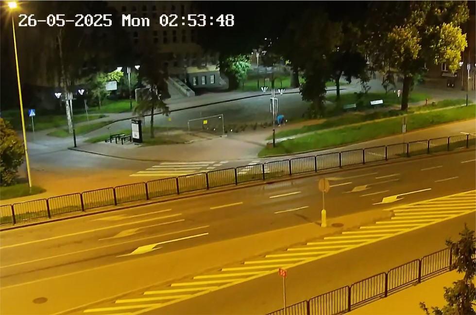 Malbork. Róże z miejskiej rabaty skradzione pod osłoną nocy.