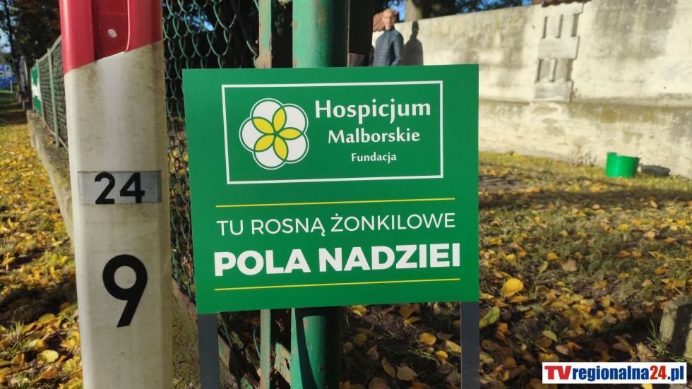 Pola Nadziei w Malborku - fotorelacja