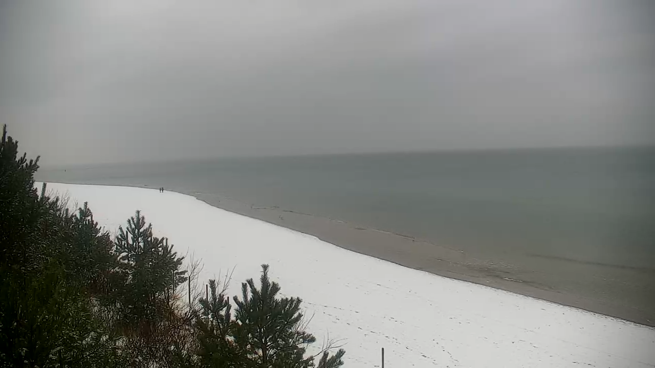 Krynica Morska plaża biała na żywo