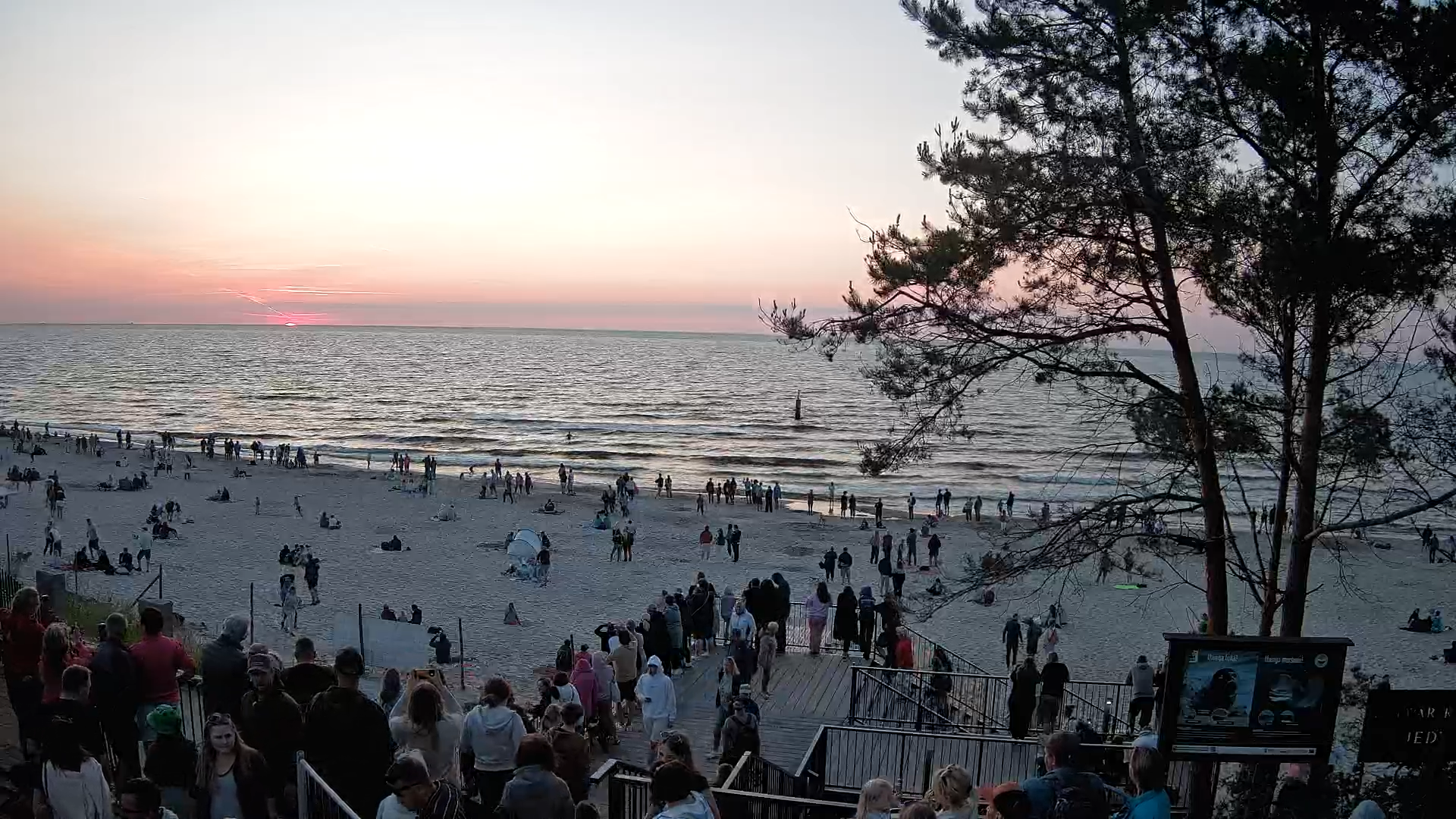 Stegna plaża - zejście nr 68 na żywo