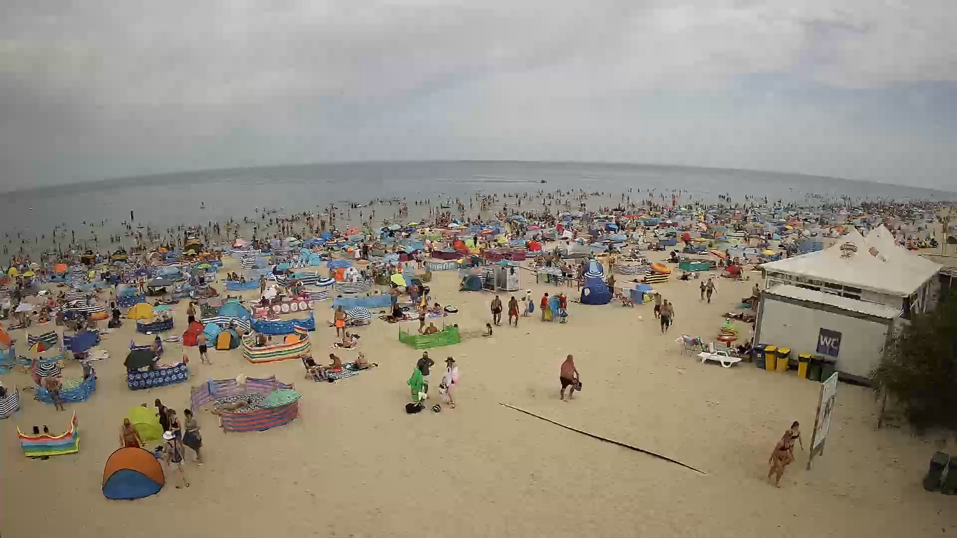 Jantar plaża wschód. Kamera na żywo. 
