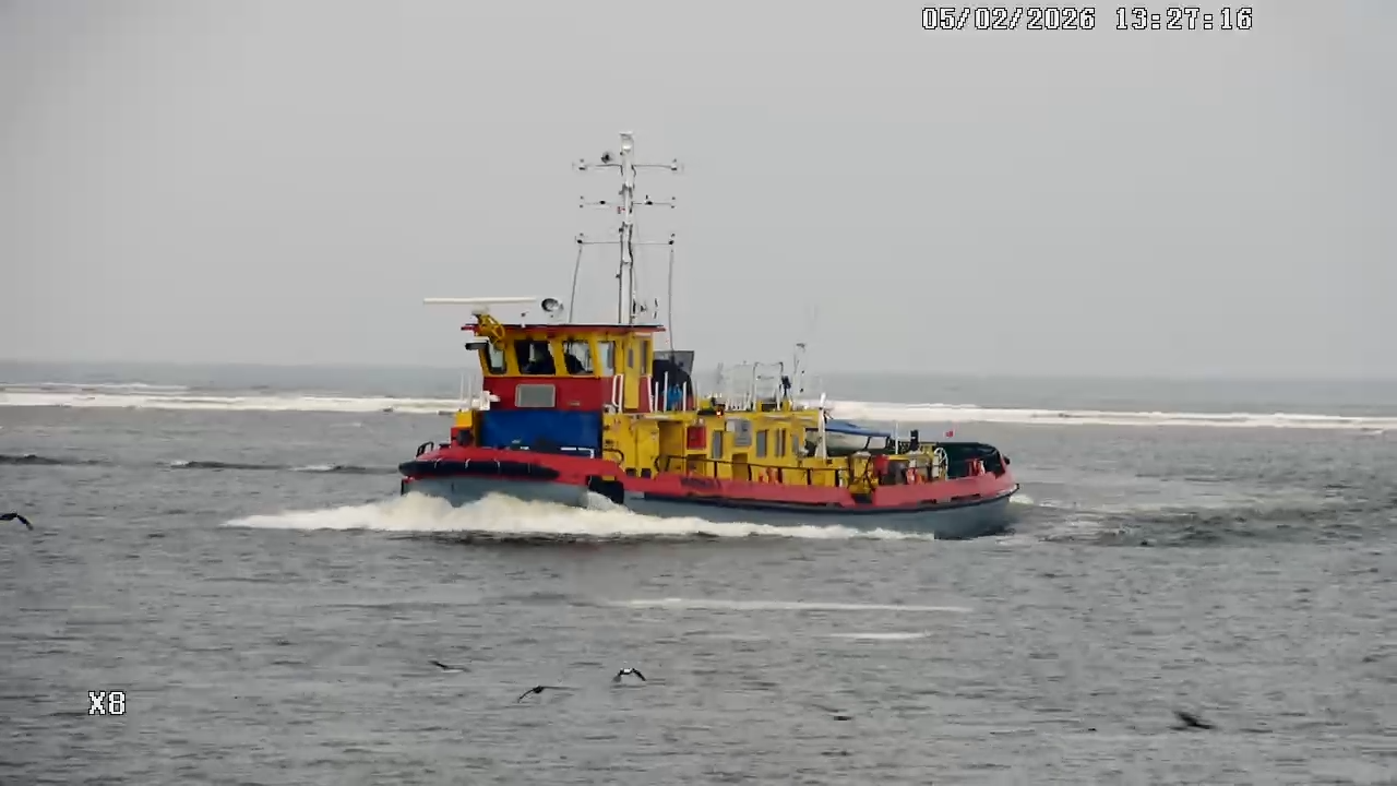 Kamera Mikoszewo - ujście Wisły - Rezerwat "Mewia Łacha". Zobacz co…