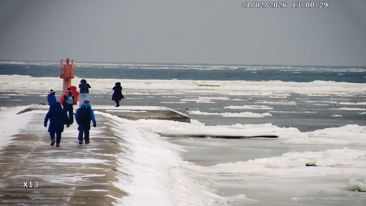 Kamera Mikoszewo - ujście Wisły - Rezerwat "Mewia Łacha". Zobacz co…